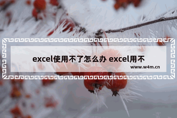 excel使用不了怎么办 excel用不起来是什么原因