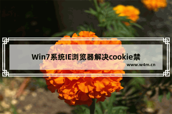 Win7系统IE浏览器解决cookie禁用提示的方法