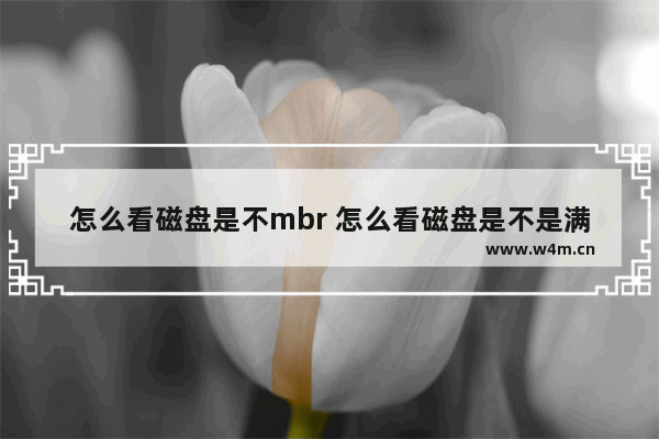 怎么看磁盘是不mbr 怎么看磁盘是不是满了