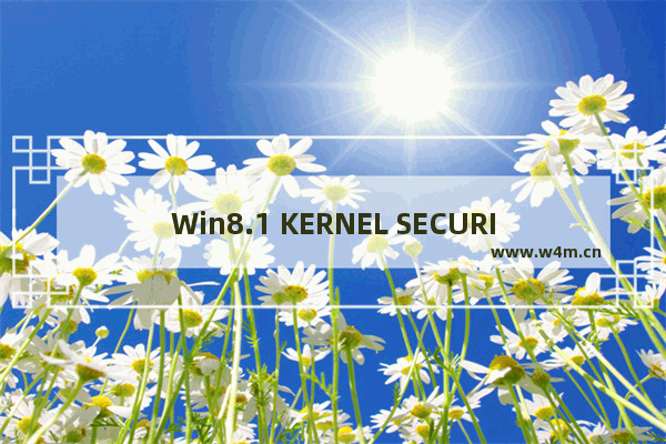 Win8.1 KERNEL SECURITY CHECK FAILURE蓝屏错误的解决方法