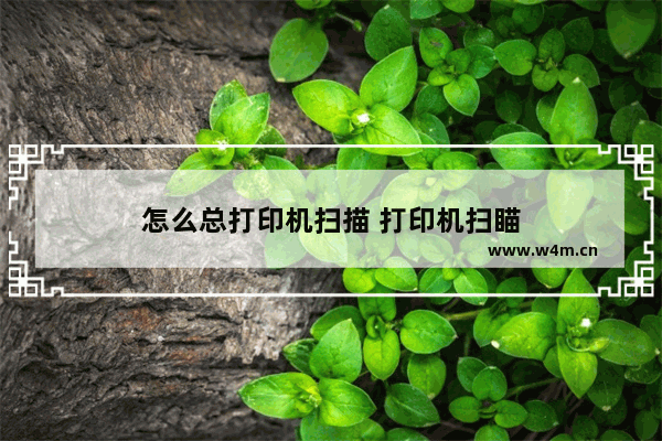 怎么总打印机扫描 打印机扫瞄