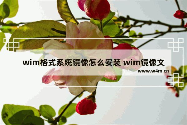 wim格式系统镜像怎么安装 wim镜像文件如何安装