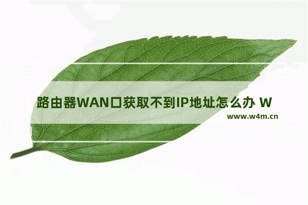 路由器WAN口获取不到IP地址怎么办 Wan口后不能上网的解决方法