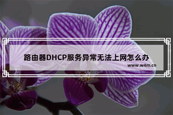 路由器DHCP服务异常无法上网怎么办