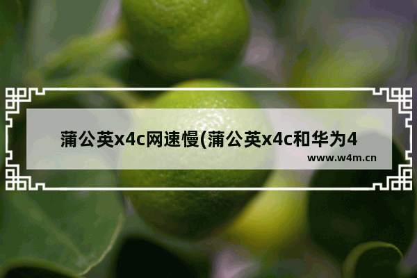 蒲公英x4c网速慢(蒲公英x4c和华为4g路由器2)