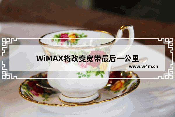 WiMAX将改变宽带最后一公里