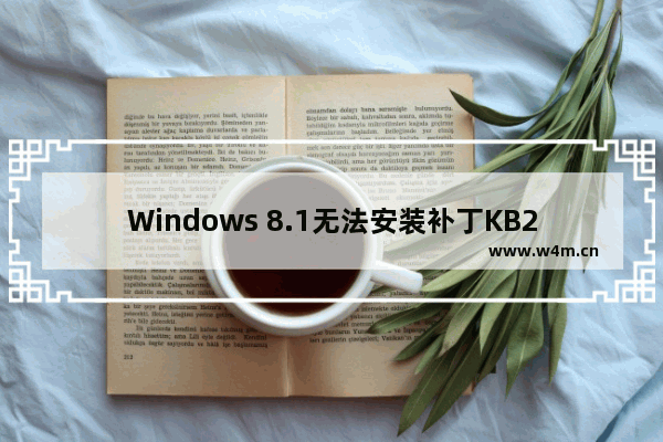 Windows 8.1无法安装补丁KB2919355的解决手段