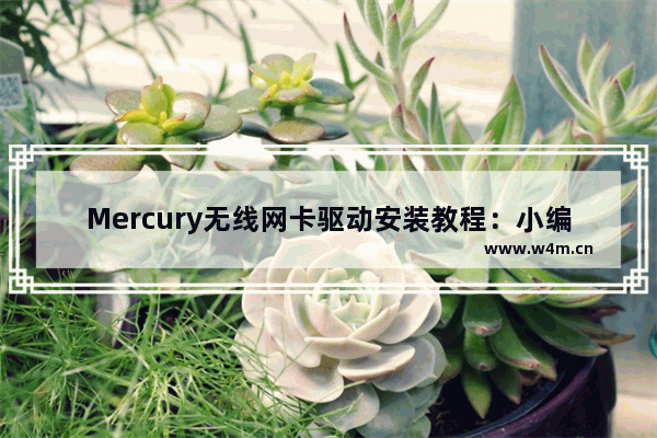 Mercury无线网卡驱动安装教程：小编带你掌握关键步骤