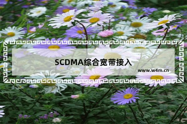 SCDMA综合宽带接入