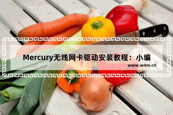 Mercury无线网卡驱动安装教程：小编带你掌握关键步骤