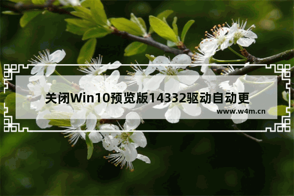 关闭Win10预览版14332驱动自动更新及调整语言栏位置的方法