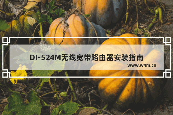 DI-524M无线宽带路由器安装指南