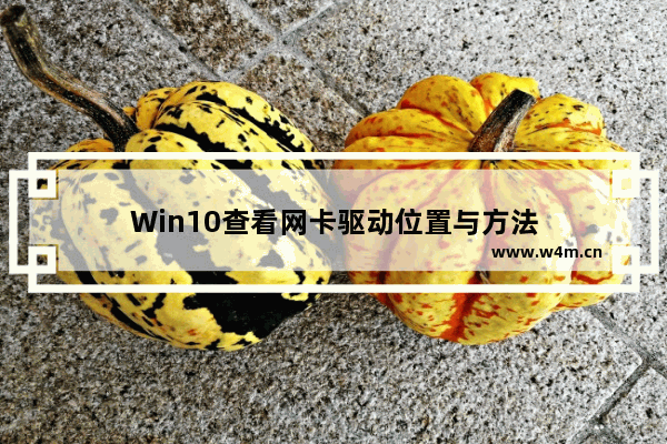 Win10查看网卡驱动位置与方法