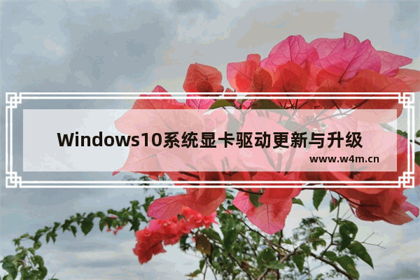 Windows10系统显卡驱动更新与升级程序教程