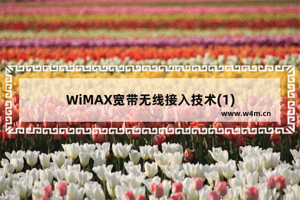 WiMAX宽带无线接入技术(1)