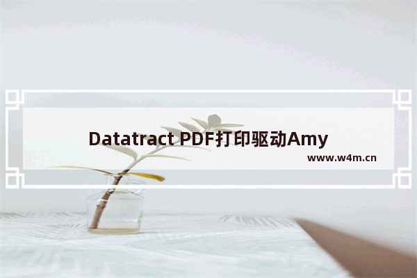 Datatract PDF打印驱动Amyuni Datatract桌面版安装与激活步骤