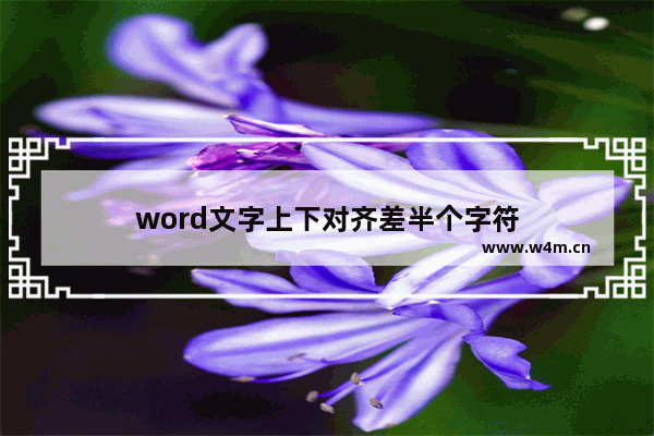 word文字上下对齐差半个字符