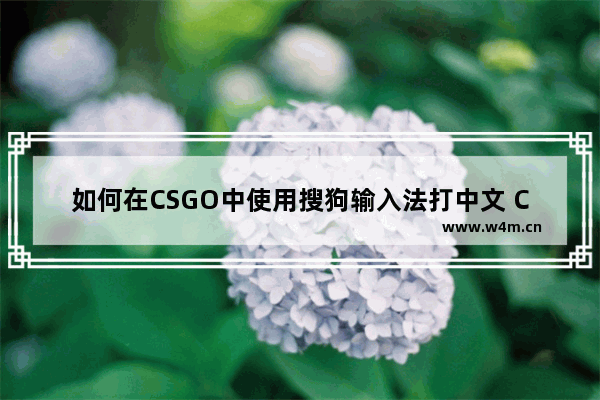 如何在CSGO中使用搜狗输入法打中文 CSGO中如何开启搜狗输入法打中文