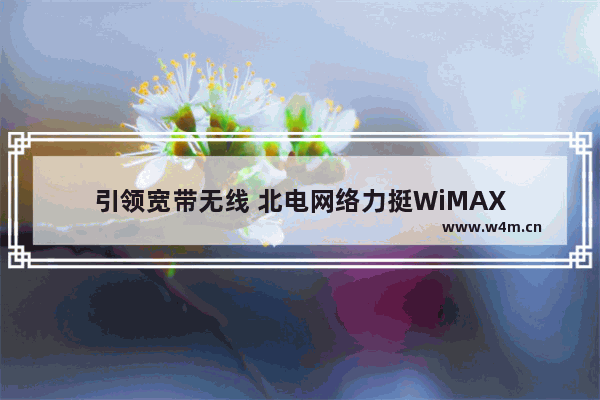 引领宽带无线 北电网络力挺WiMAX