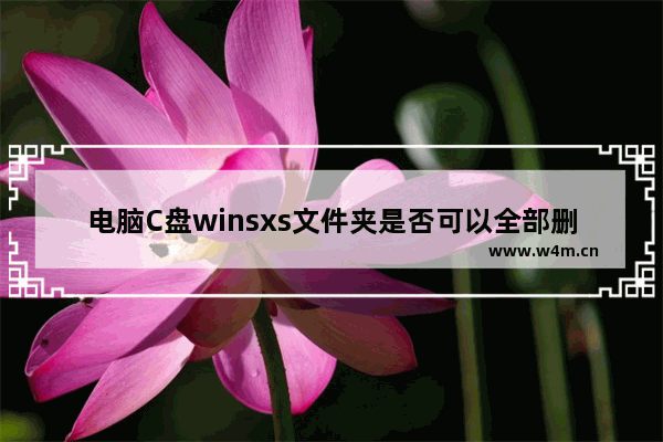 电脑C盘winsxs文件夹是否可以全部删除