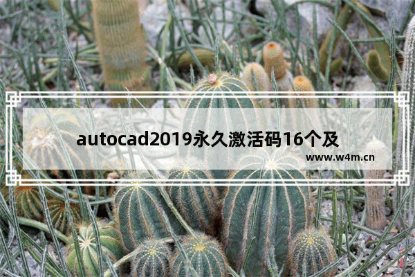 autocad2019永久激活码16个及序列号和密钥