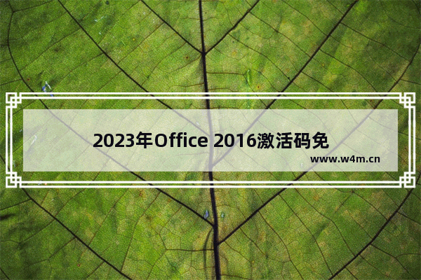 2023年Office 2016激活码免费获取 Microsoft Office 2016永久激活密钥分享