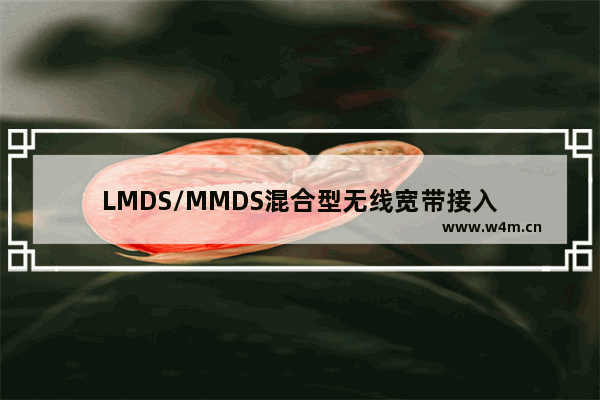 LMDS/MMDS混合型无线宽带接入