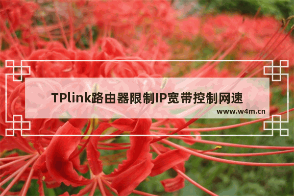 TPlink路由器限制IP宽带控制网速