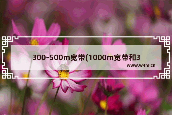 300-500m宽带(1000m宽带和300m宽带)