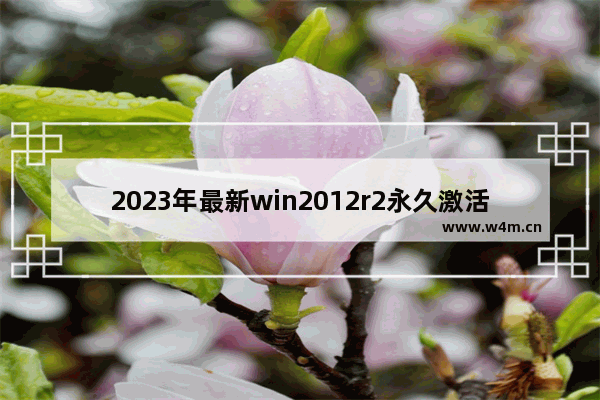 2023年最新win2012r2永久激活码 Windows Server 2012 R2激活密钥