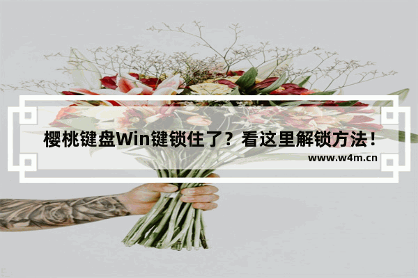 樱桃键盘Win键锁住了？看这里解锁方法！