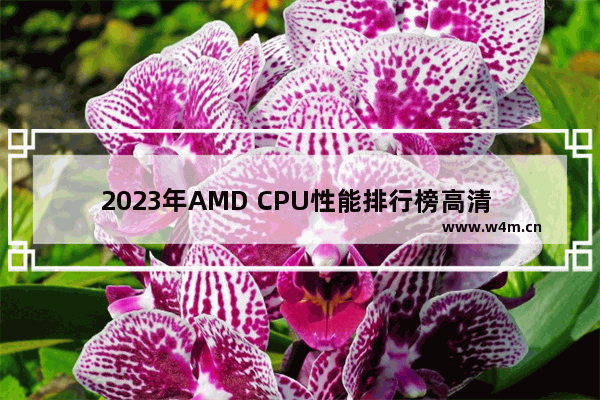 2023年AMD CPU性能排行榜高清 AMD处理器天梯图排行榜