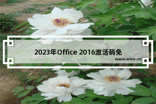 2023年Office 2016激活码免费获取 Microsoft Office 2016永久激活密钥分享