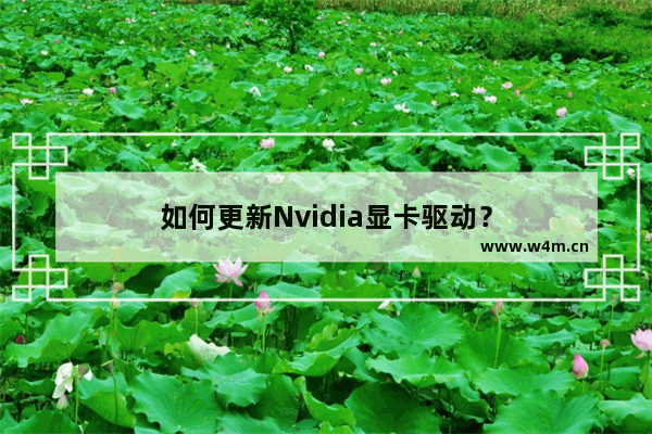 如何更新Nvidia显卡驱动？