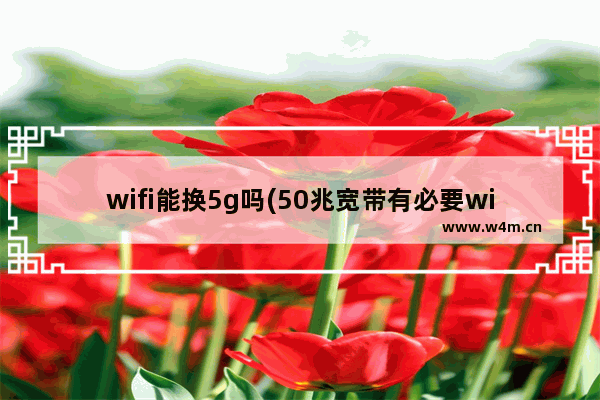 wifi能换5g吗(50兆宽带有必要wifi6吗)