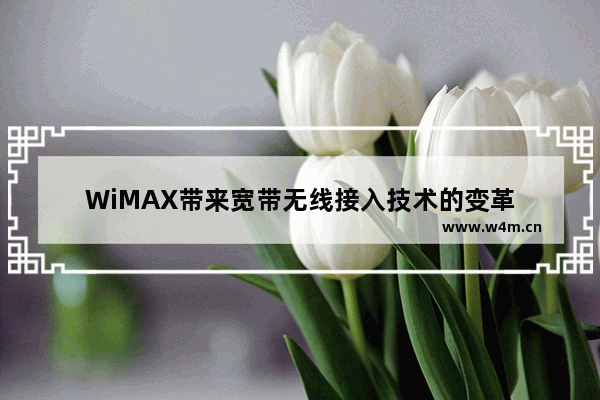 WiMAX带来宽带无线接入技术的变革