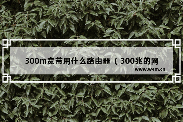 300m宽带用什么路由器（ 300兆的网速适合什么路由器）