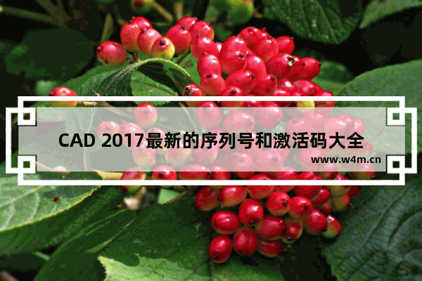 CAD 2017最新的序列号和激活码大全，还附赠万能激活码！