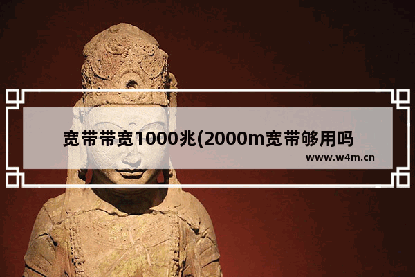 宽带带宽1000兆(2000m宽带够用吗)