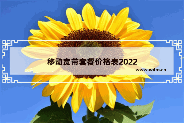 移动宽带套餐价格表2022