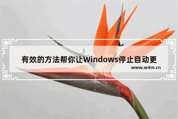 有效的方法帮你让Windows停止自动更新