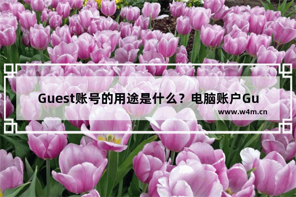 Guest账号的用途是什么？电脑账户Guest的功能解析