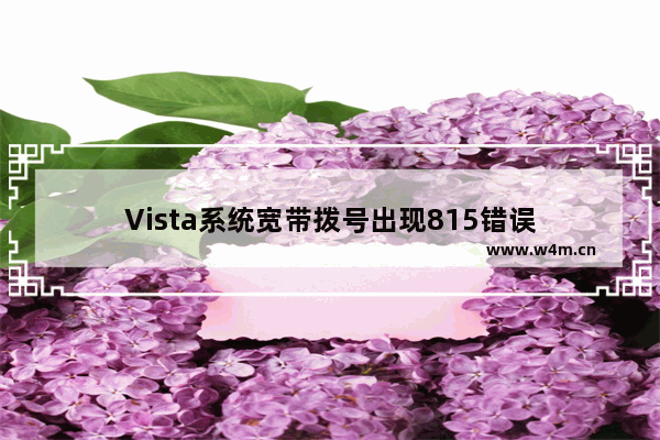 Vista系统宽带拨号出现815错误