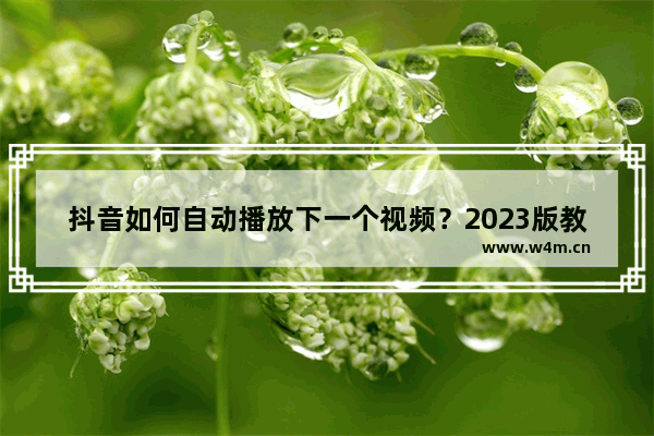 抖音如何自动播放下一个视频？2023版教程！