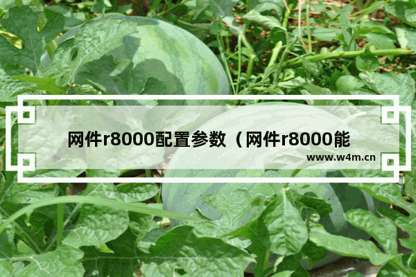 网件r8000配置参数（网件r8000能跑1000M宽带吗）