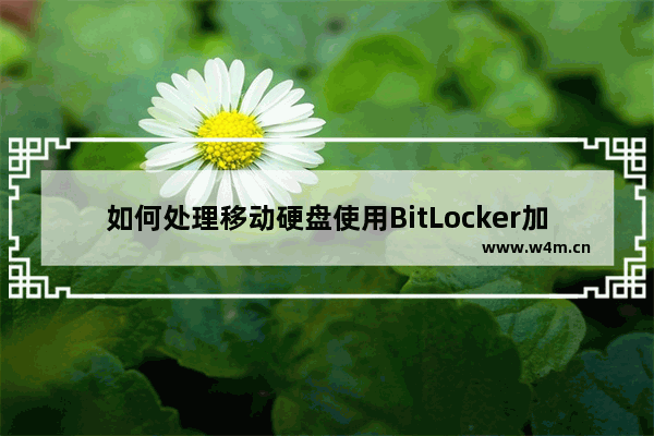 如何处理移动硬盘使用BitLocker加密后无法打开的问题