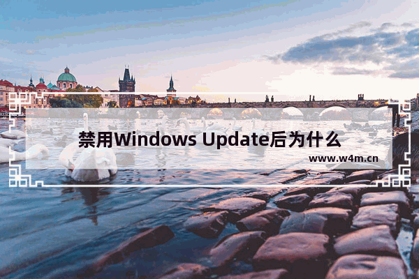 禁用Windows Update后为什么又自动恢复了？禁用Windows Update的解决方法