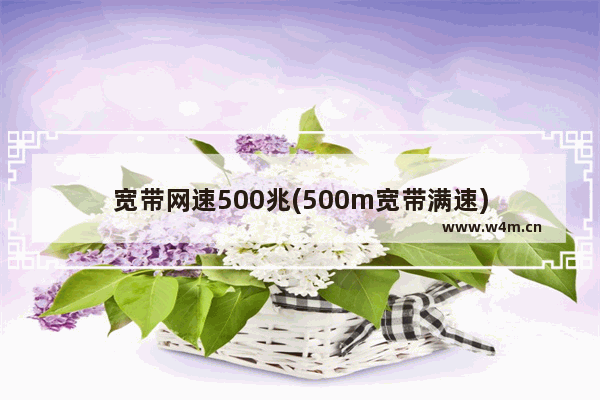 宽带网速500兆(500m宽带满速)