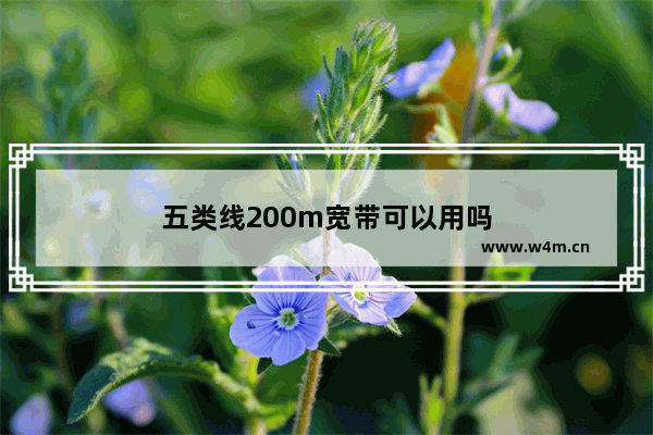 五类线200m宽带可以用吗