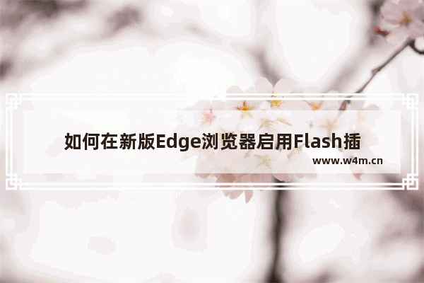 如何在新版Edge浏览器启用Flash插件